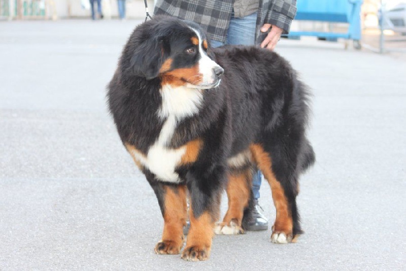 Publication : De La Ferme Mittelfeld