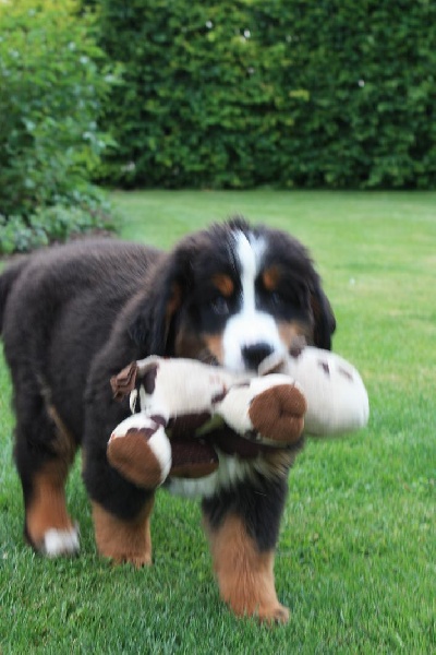 Publication : De La Ferme Mittelfeld