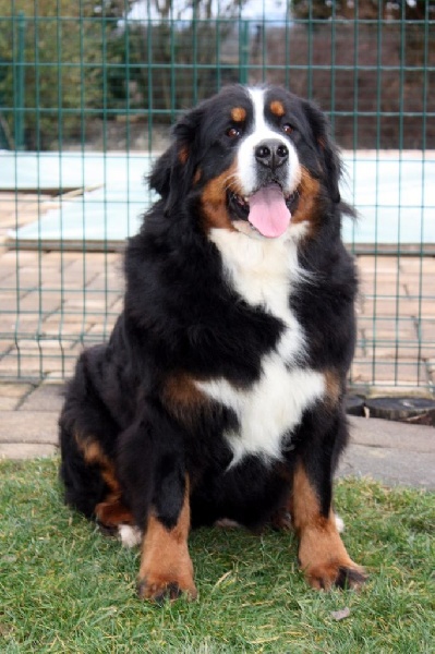 Publication : De La Ferme Mittelfeld