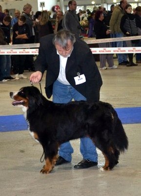 GaÏa deesse de la terre des Arvernes Suisses - 3EME EXCELLENT