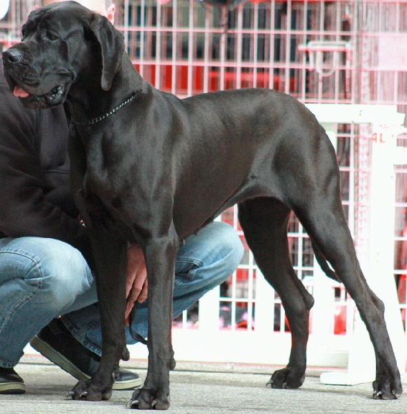 Publication : Du Haut Comté D'il -ha- Gwilen Auteur : Kametiskal