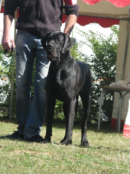 Publication : Du Haut Comté D'il -ha- Gwilen Auteur : Kametiskal