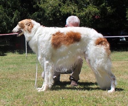 Publication : de l'hermitage d'eole