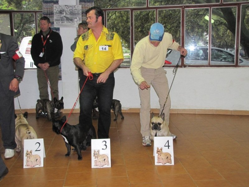 Bosco le vallon de beaumont - 4° EXCELLENT