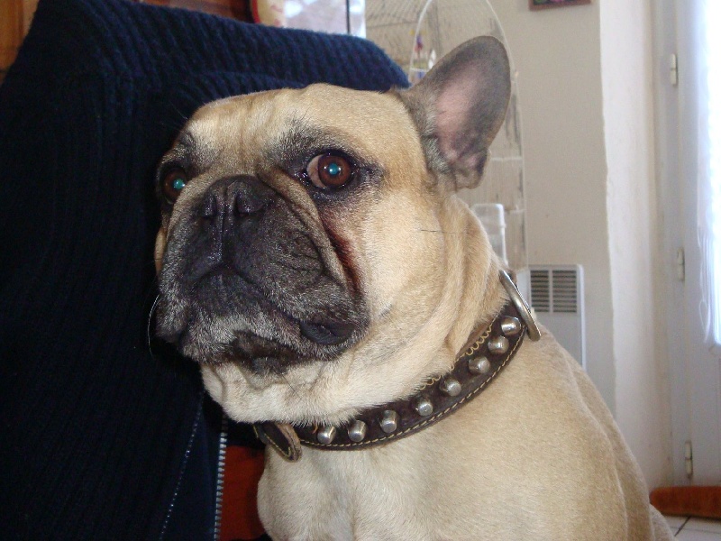 Bosco le vallon de beaumont - 3 éme EXCELLENT