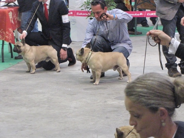 Bosco le vallon de beaumont - TRES BON
