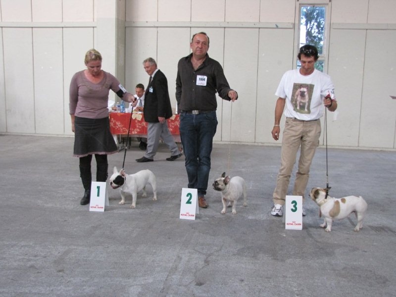 Camélia du Vallon de Beaumont - 3° EXCELLENT