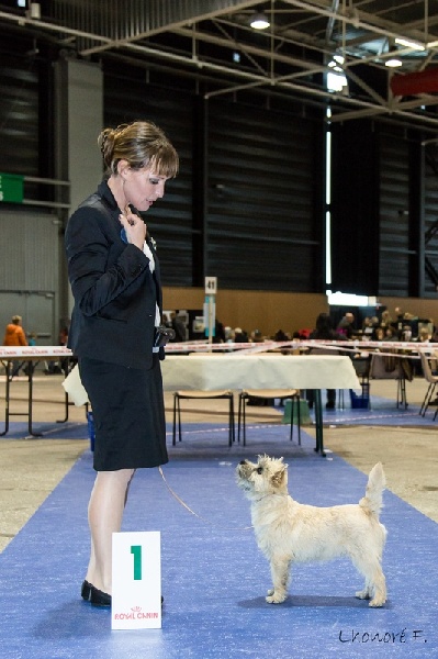 Publication : de la terrardiere Auteur : frederic lhonore