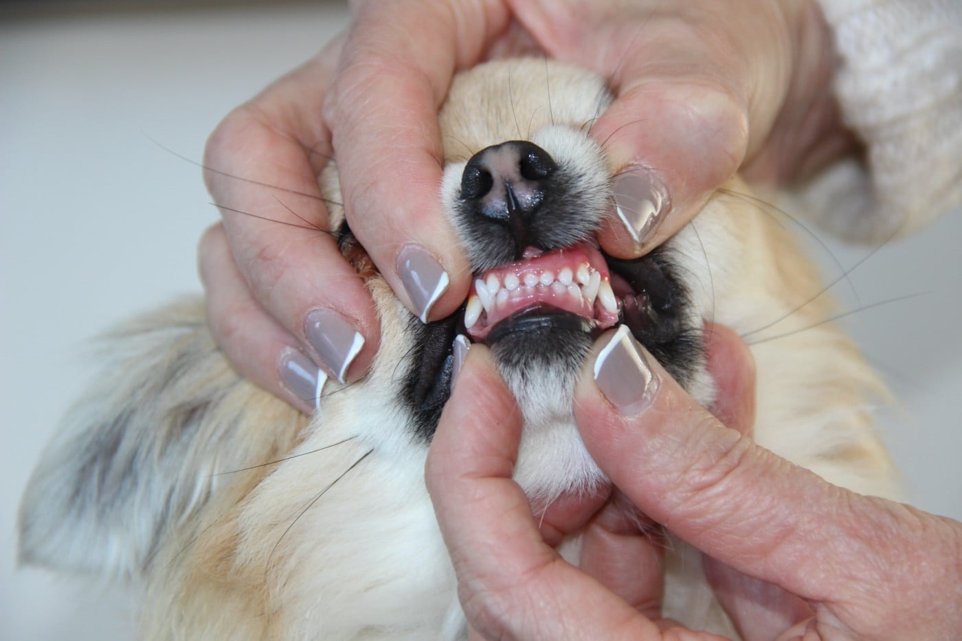 Alibaba De L'empire De Ganesh