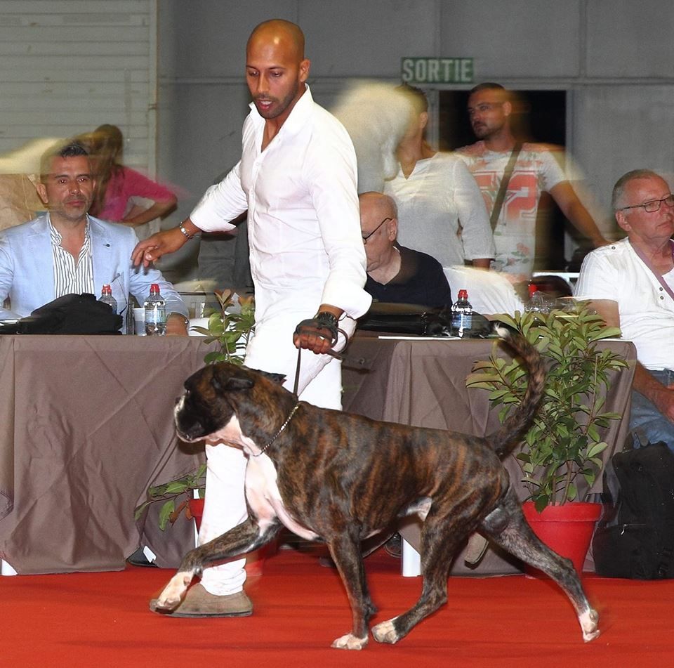 Publication : Du Haras Des Fougeres