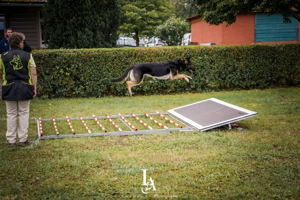 Tesla des foudres d'armor