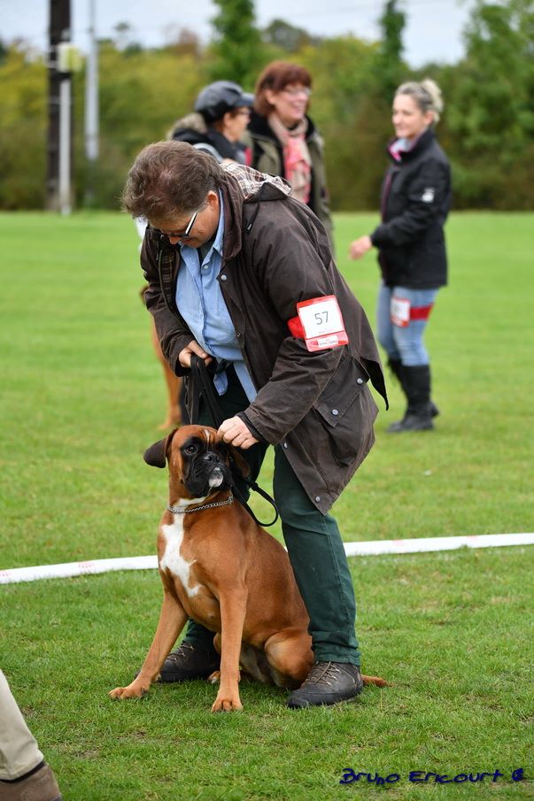 Mystic Du Haras Des Fougeres