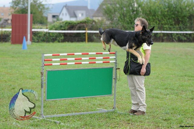 Tesla des foudres d'armor