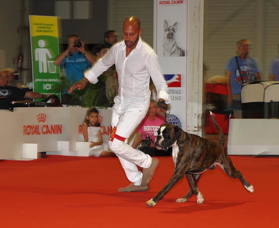 Publication : Du Haras Des Fougeres