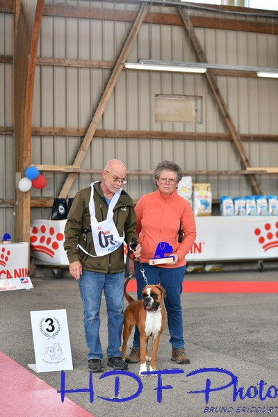 Apple Du Haras Des Fougeres - 3 eExc classe puppy FF