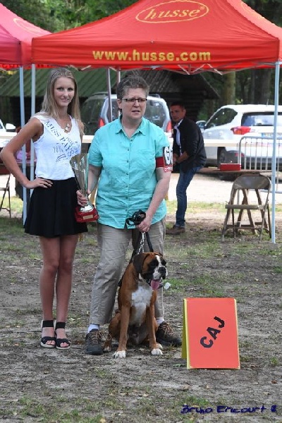 Lovely Du Haras Des Fougeres - MEILLEUR JEUNE +CAJ +1er Exc CJFF