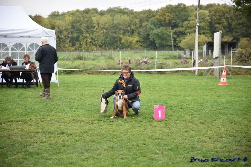 Lovely Du Haras Des Fougeres - 1er TP classe Baby FF
