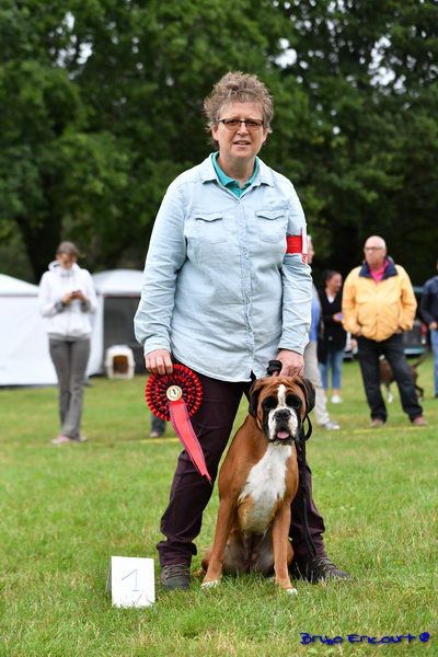 Lovely Du Haras Des Fougeres - 1er Excellent Classe OFF