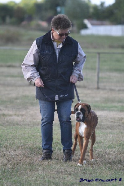 Lovely Du Haras Des Fougeres - CSAU Excellent