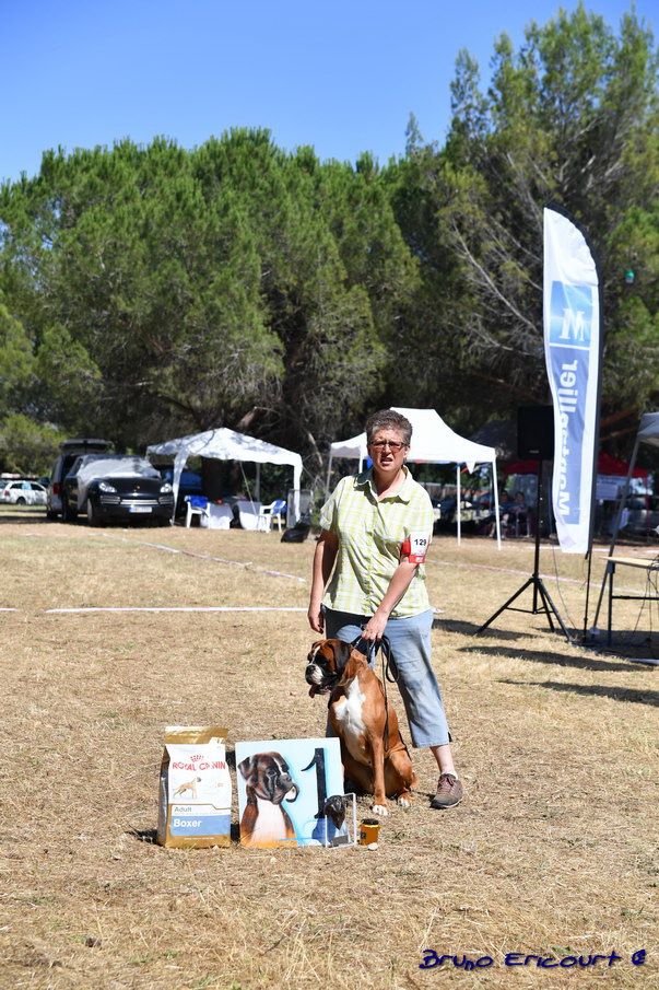 Lovely Du Haras Des Fougeres - 1er excellent classe ouverte FF