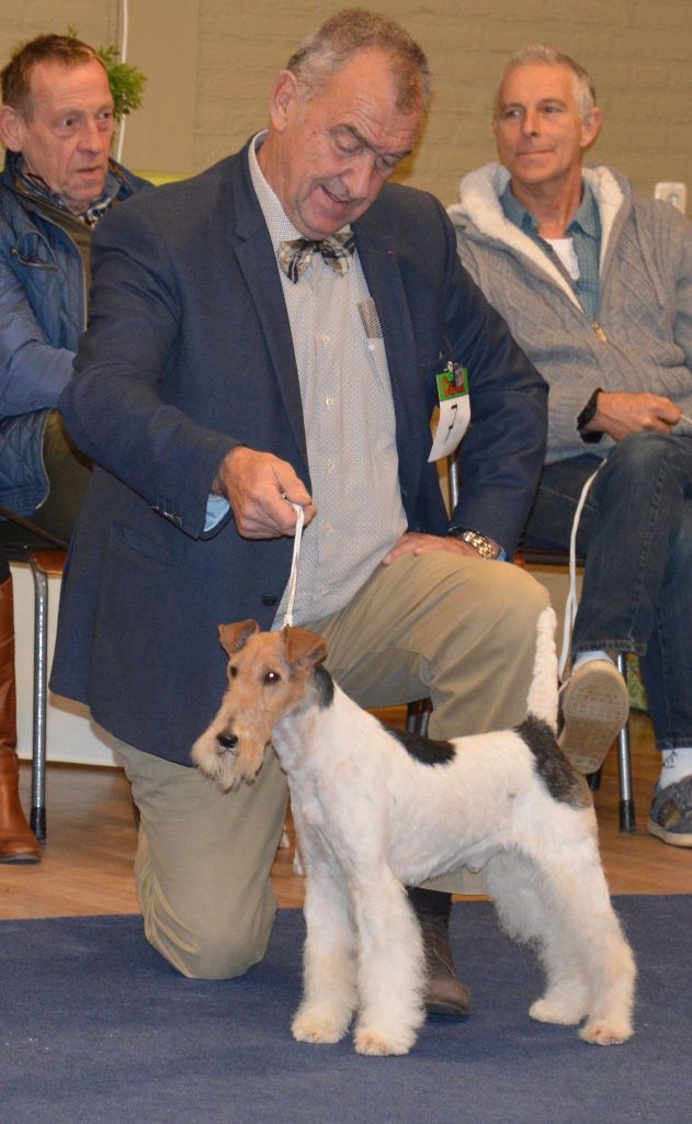 CH. Travella Stand aside dit bruce - RACA