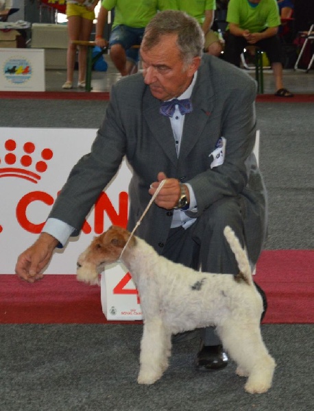 CH. Fanchon de de Cresecques - 4° classe ouverte