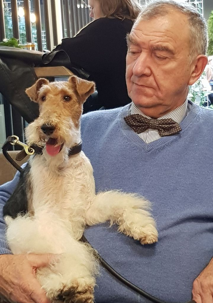 CH. Travella Stand aside dit bruce - CAC - CACIB - meilleur de race