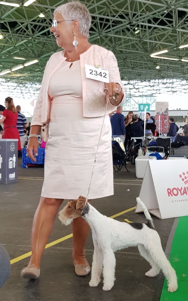 CH. Olga de de Cresecques - trés prometteur, championne du monde minor puppy