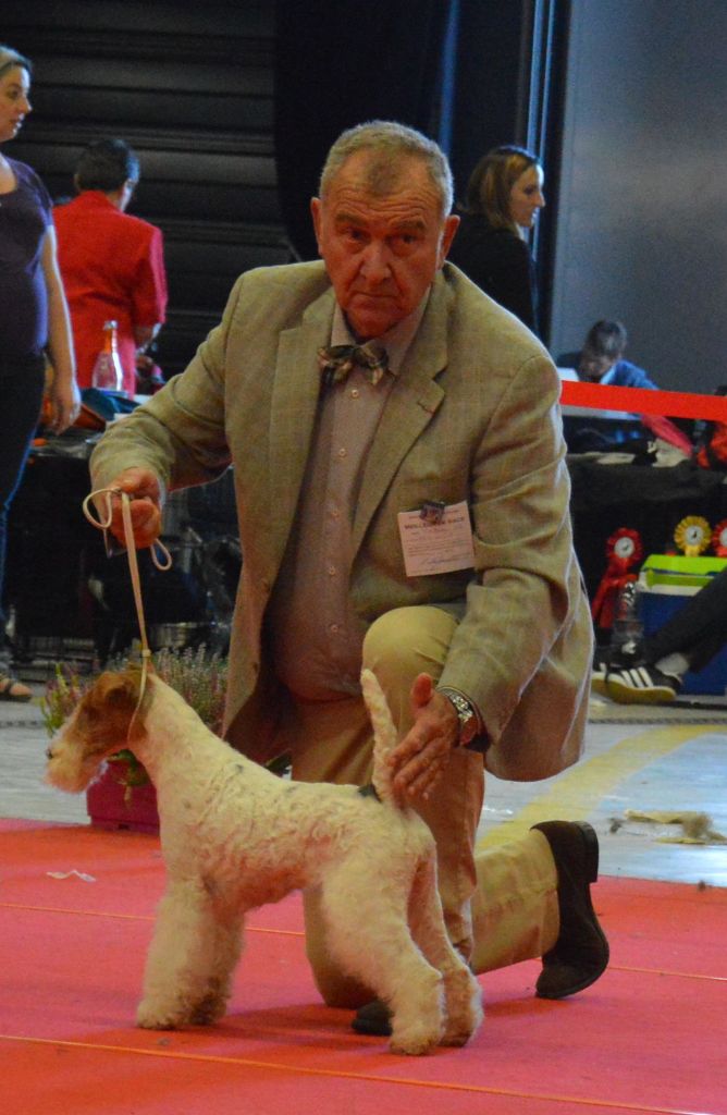 CH. Janet de de Cresecques - CAC, CACIB, BOB