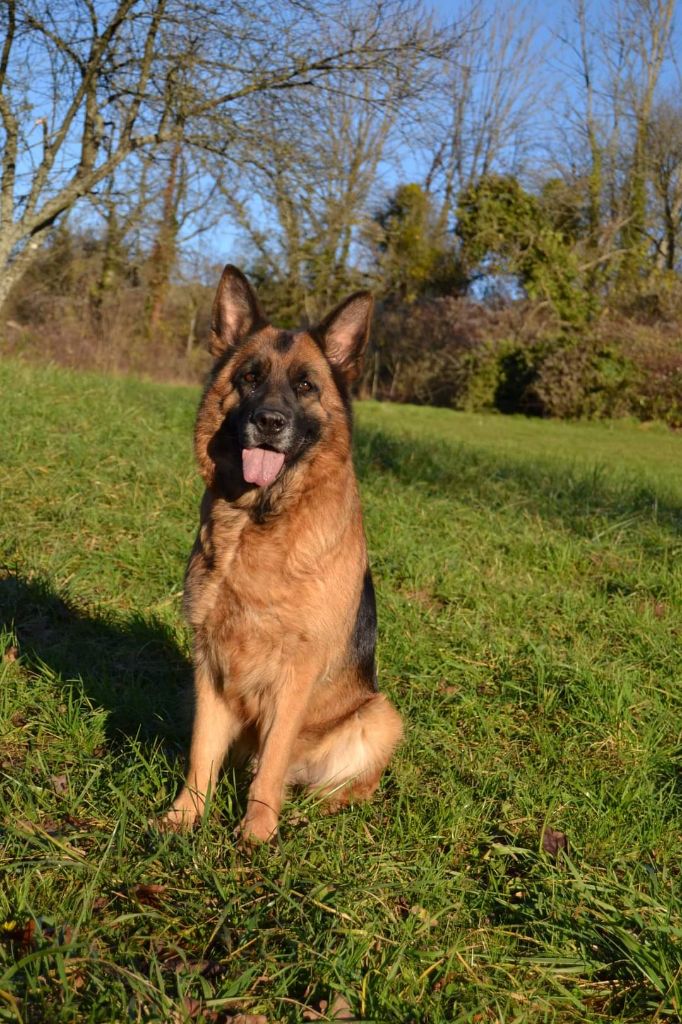 Publication : De La Tribu Des Plaines Auteur : Emilie Jacob