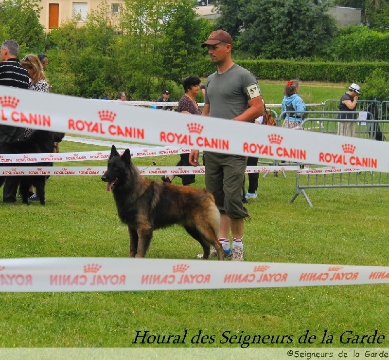 Houral des Seigneurs de la Garde - 1er Très bon