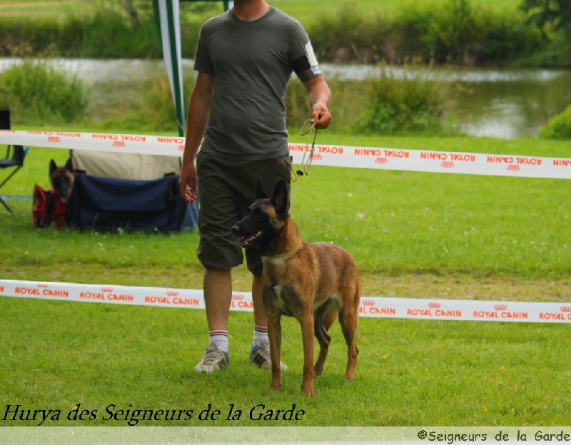 Hurya des Seigneurs de la Garde - 1er excellent