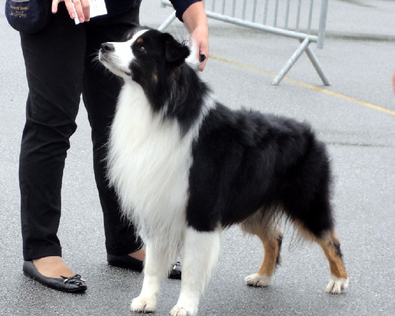 Iako Des Bergers D'eden - Excellent
