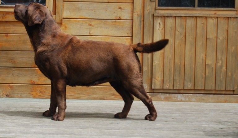 Publication : du puits de chanteins