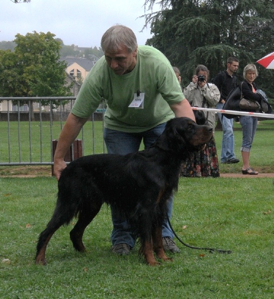 CH. Cib. cie.ch vétéran luxembourg et france darwynn Des Pralines D'Aubejoux - 1er EXC. R.C.A.C.S. Classe Travail
