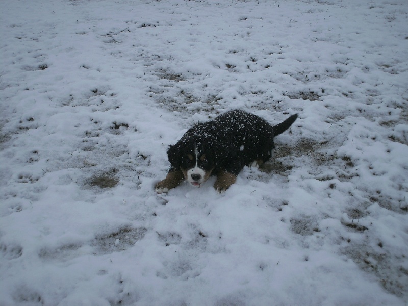 Publication : Du Domaine D'Athos Auteur : hery maeva