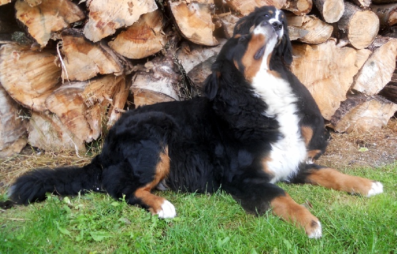 Publication : Du Domaine D'Athos Auteur : hery maeva