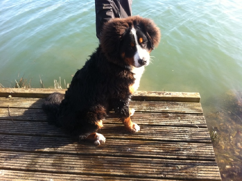 Izzy Du Domaine D'Athos