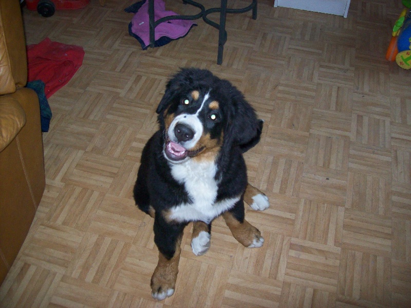 Publication : Du Domaine D'Athos Auteur : hery maeva