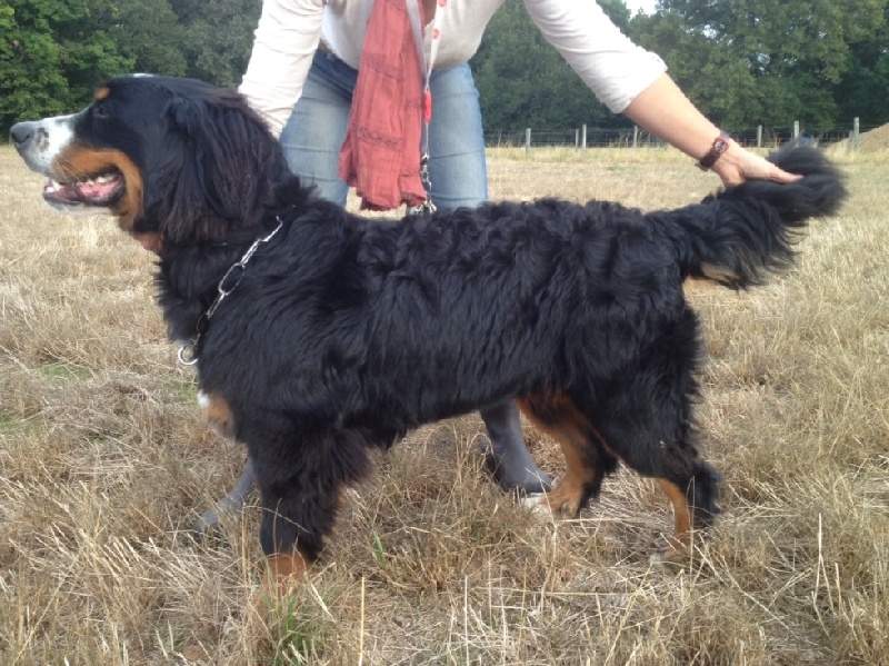 Happy Du Domaine D'Athos