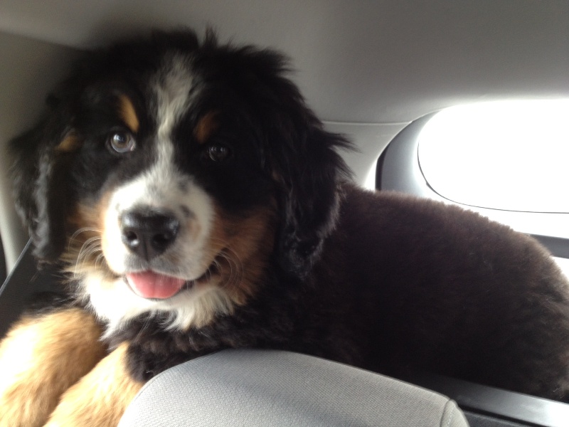 Happy Du Domaine D'Athos