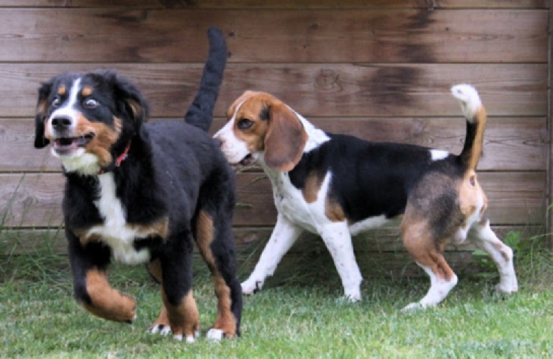 Hyoko Du Domaine D'Athos