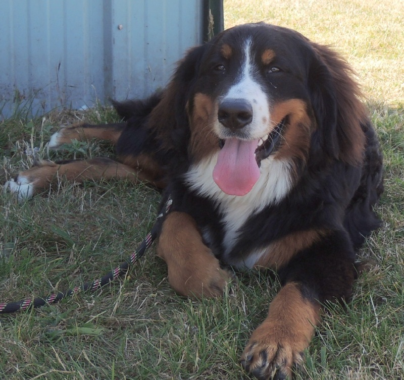 HawaÏ Du Domaine D'Athos