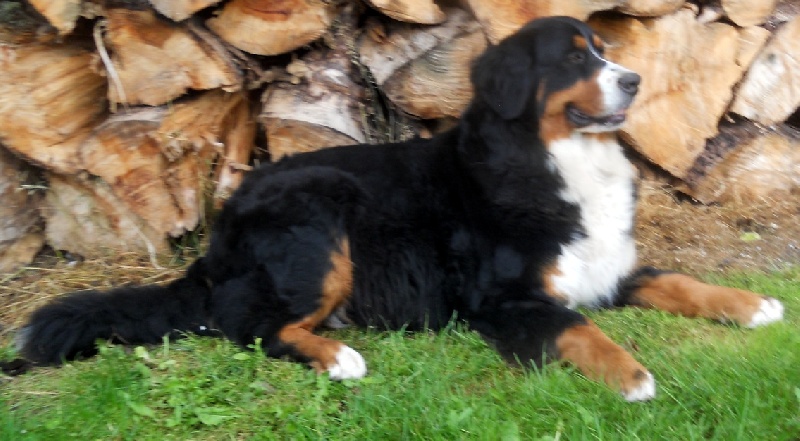 Publication : Du Domaine D'Athos Auteur : hery maeva