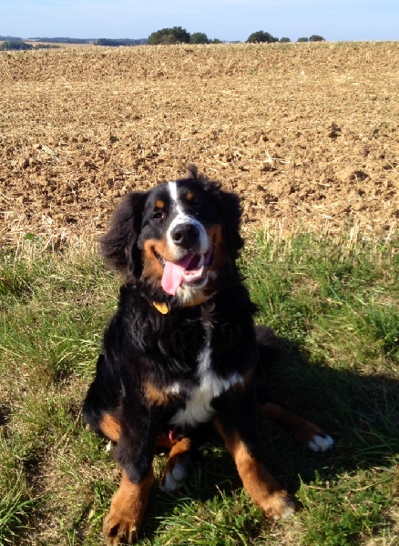 Happy Du Domaine D'Athos