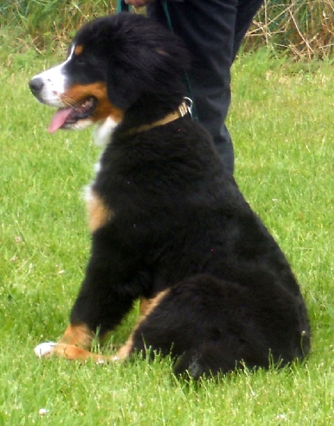 HawaÏ Du Domaine D'Athos