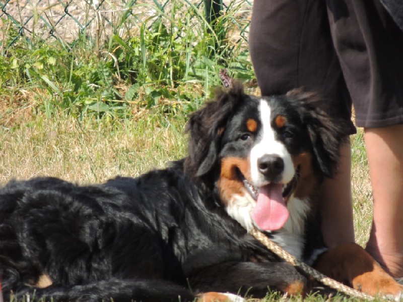 Holly dit hermione Du Domaine D'Athos