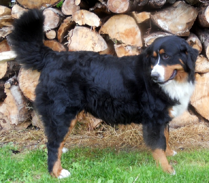 Publication : Du Domaine D'Athos Auteur : hery maeva