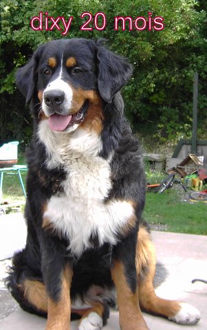 Publication : Du Domaine D'Athos Auteur : hery maeva