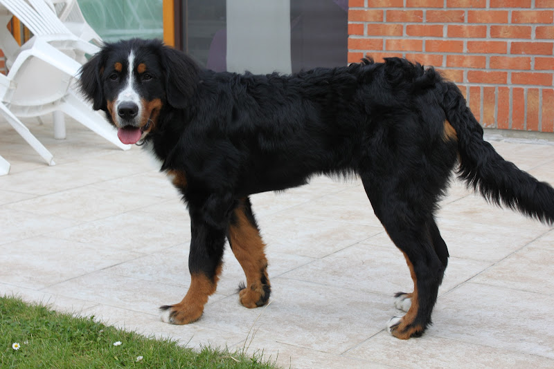 Hyoko Du Domaine D'Athos